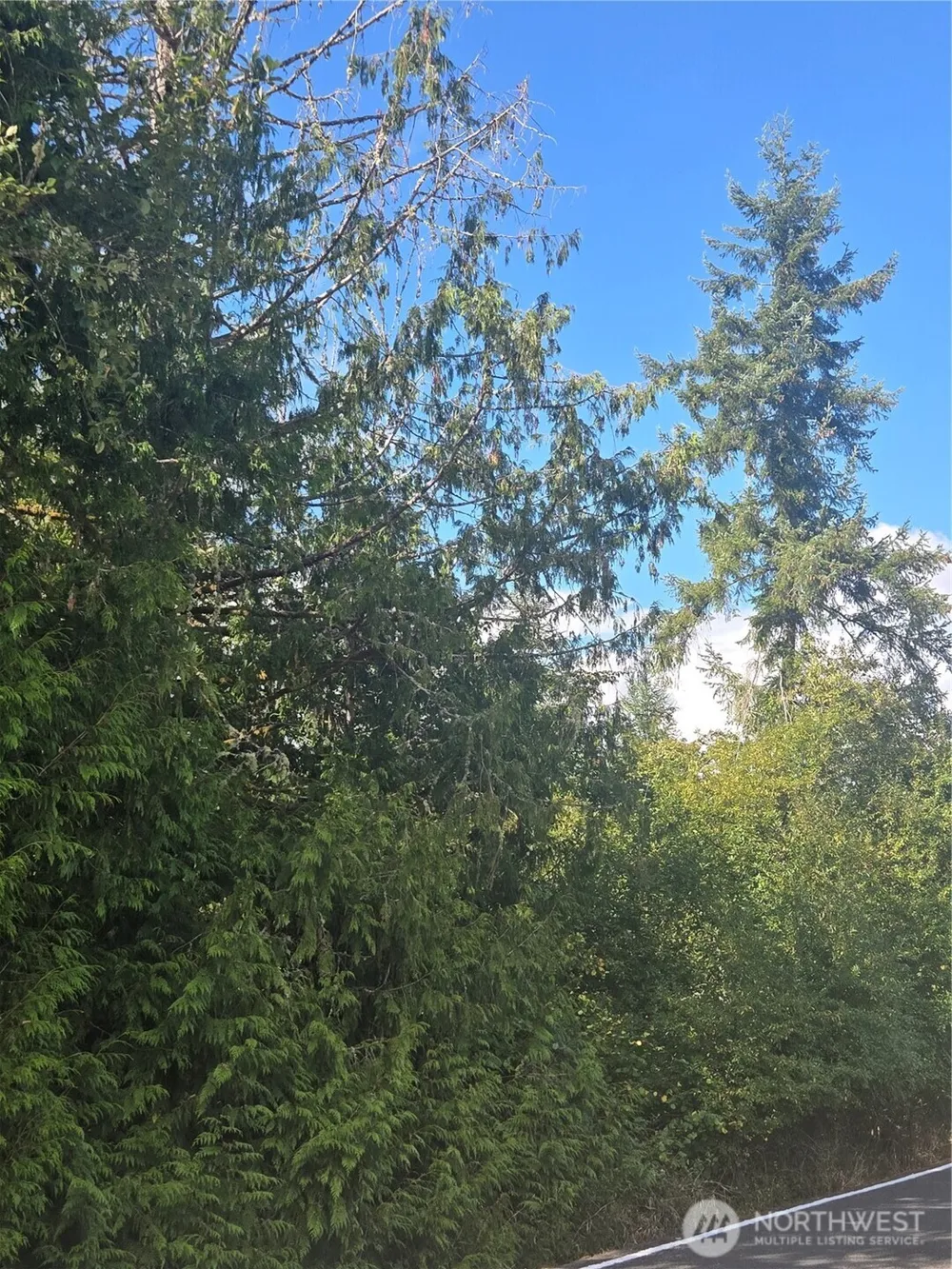144 Dowling Road Toledo, WA 98591