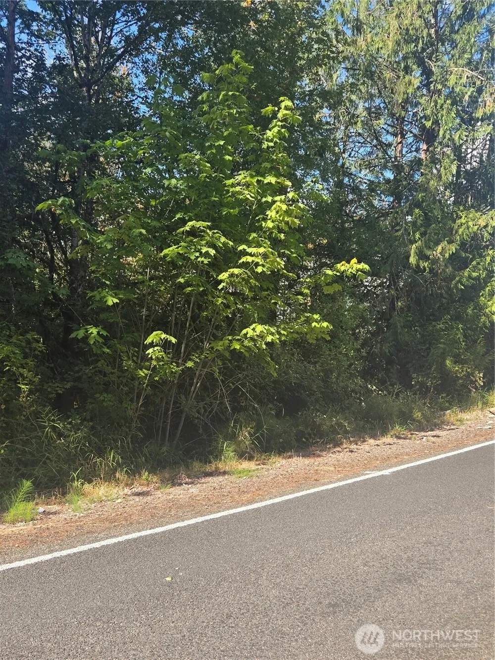 144 Dowling Road Toledo, WA 98591