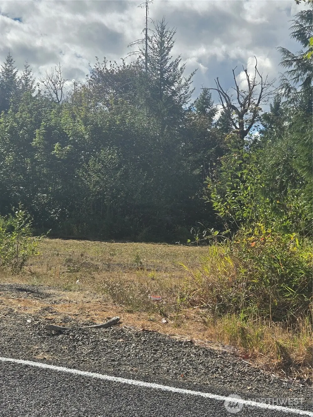 144 Dowling Road Toledo, WA 98591