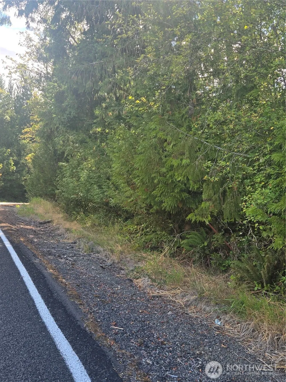 144 Dowling Road Toledo, WA 98591