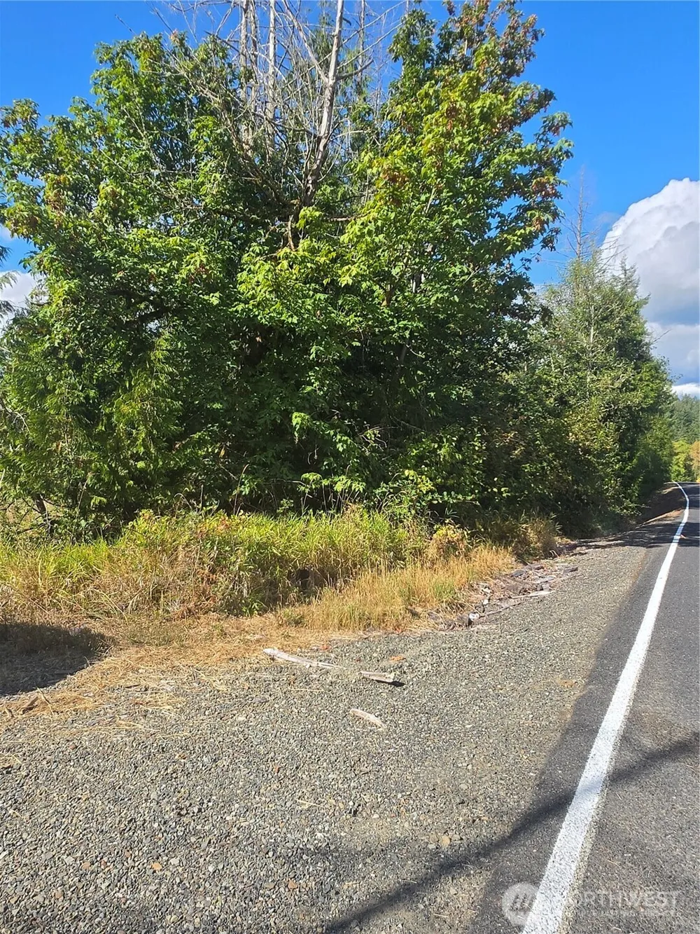 144 Dowling Road Toledo, WA 98591