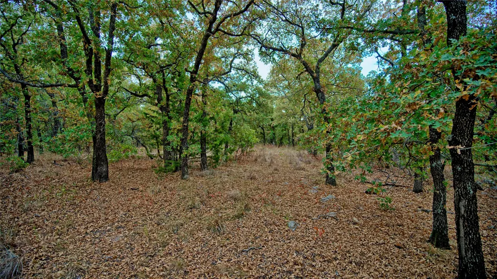 Dixie School Road Nocona, TX 76255