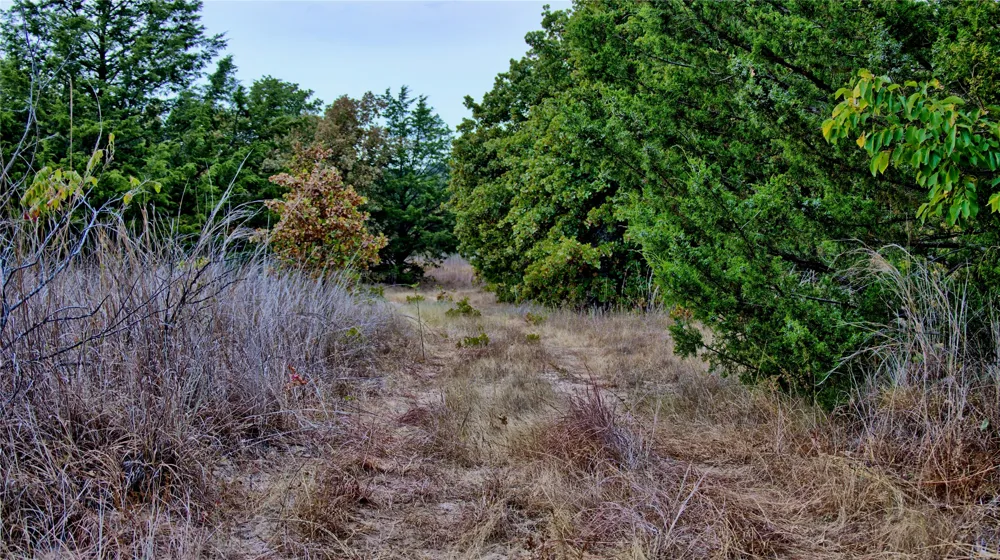 Dixie School Road Nocona, TX 76255