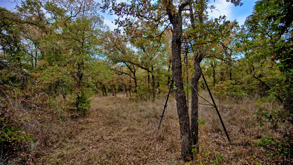 Dixie School Road Nocona, TX 76255