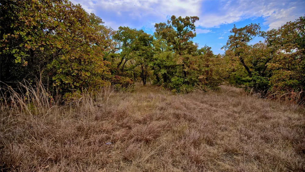 Dixie School Road Nocona, TX 76255