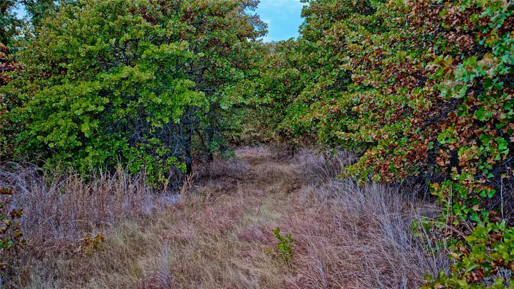 Dixie School Road Nocona, TX 76255