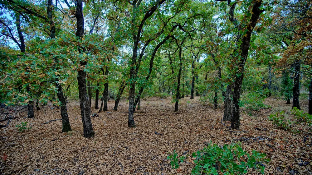 Dixie School Road Nocona, TX 76255