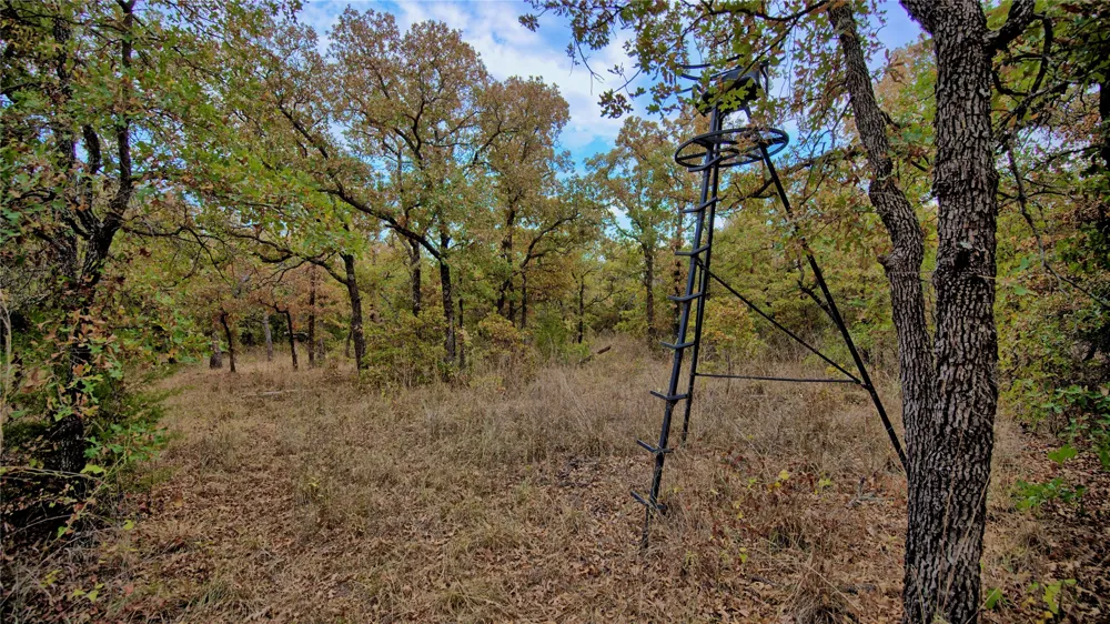 Dixie School Road Nocona, TX 76255