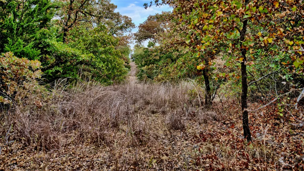 Dixie School Road Nocona, TX 76255