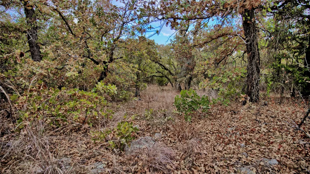 Dixie School Road Nocona, TX 76255