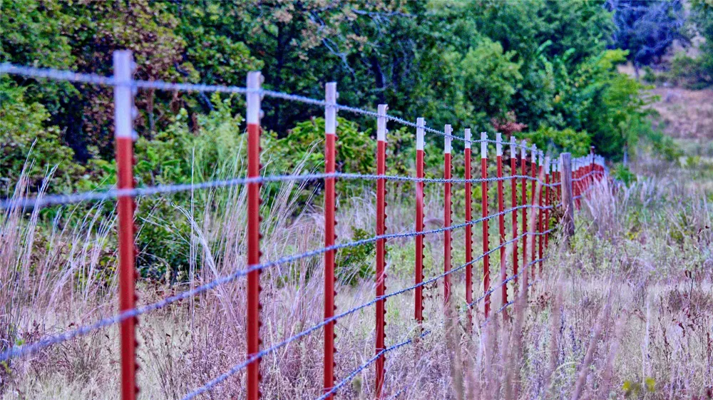 Dixie School Road Nocona, TX 76255