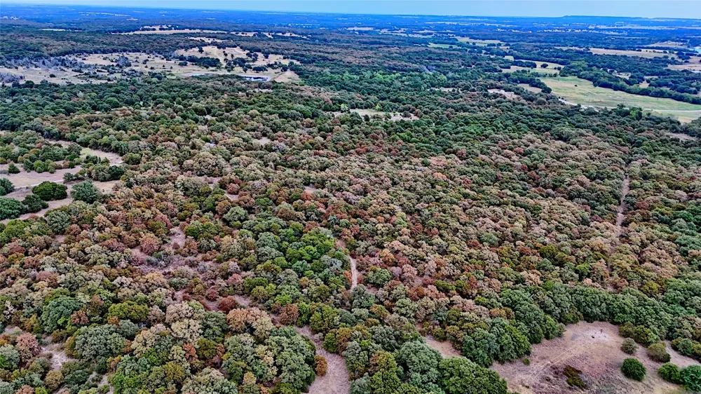 Dixie School Road Nocona, TX 76255