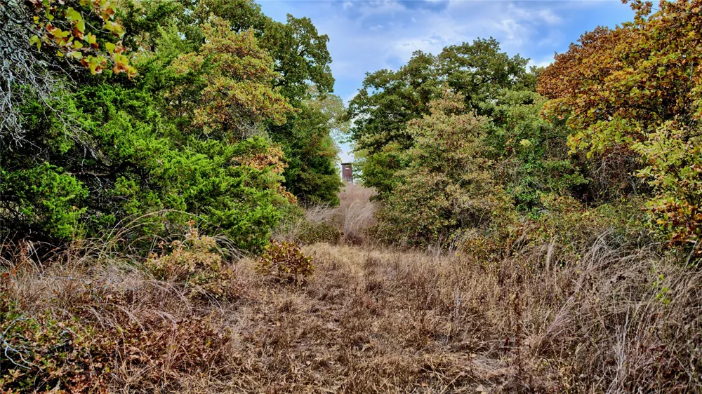 Dixie School Road Nocona, TX 76255