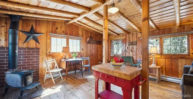 33885 La Plata Lane Pine, CO 80470