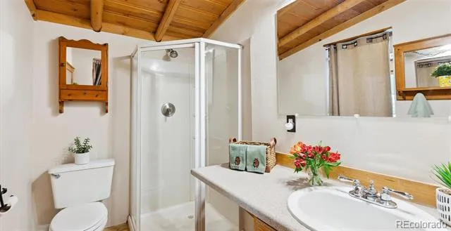 33885 La Plata Lane Pine, CO 80470
