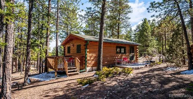 33885 La Plata Lane Pine, CO 80470