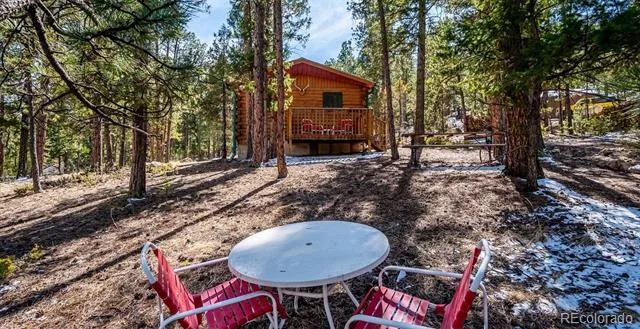 33885 La Plata Lane Pine, CO 80470