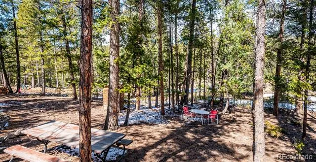 33885 La Plata Lane Pine, CO 80470