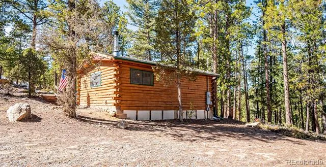 33885 La Plata Lane Pine, CO 80470