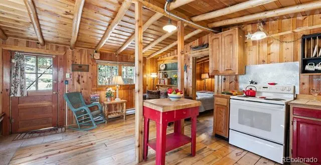33885 La Plata Lane Pine, CO 80470