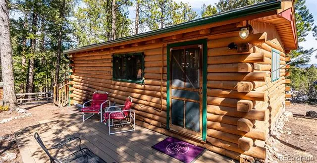 33885 La Plata Lane Pine, CO 80470