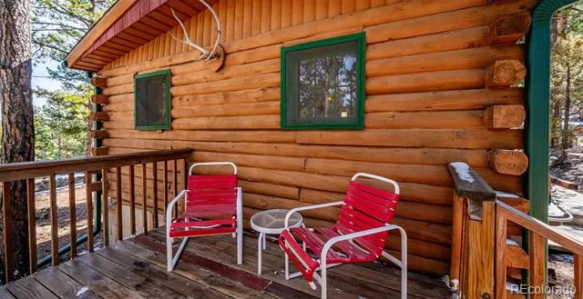 33885 La Plata Lane Pine, CO 80470