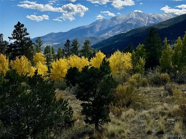 30192 Mountaintop Drive Buena Vista, CO 81211