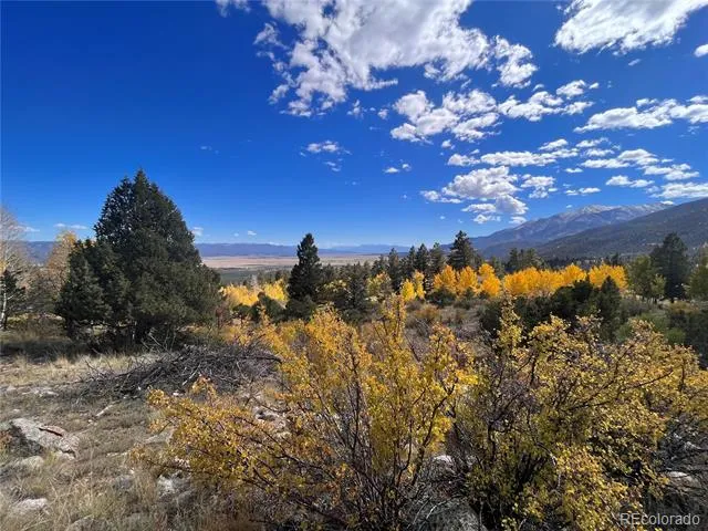 30192 Mountaintop Drive Buena Vista, CO 81211