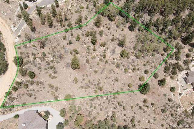 30192 Mountaintop Drive Buena Vista, CO 81211