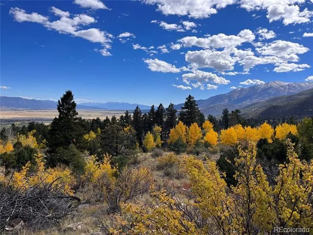 30192 Mountaintop Drive Buena Vista, CO 81211