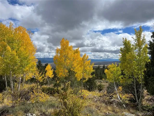 30192 Mountaintop Drive Buena Vista, CO 81211