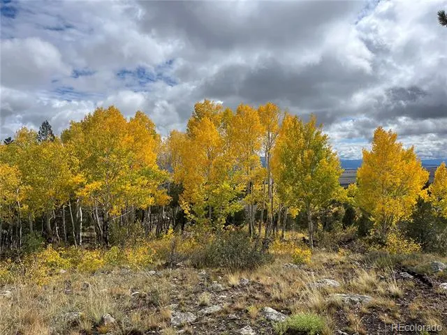 30192 Mountaintop Drive Buena Vista, CO 81211