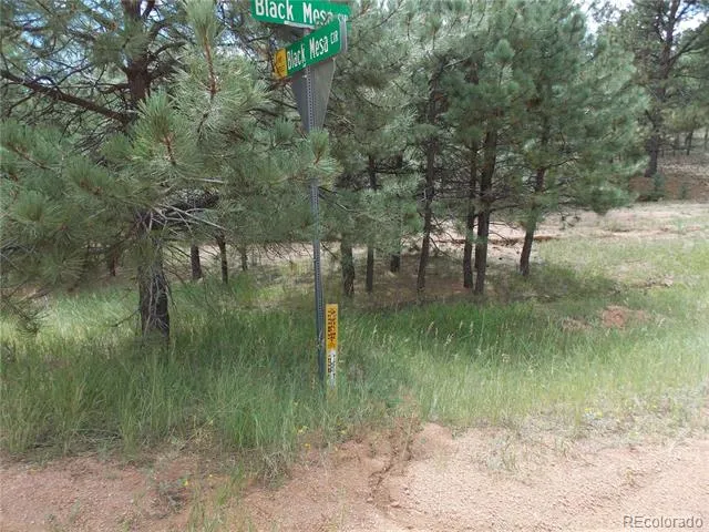738 Black Mesa Circle Florissant, CO 80816