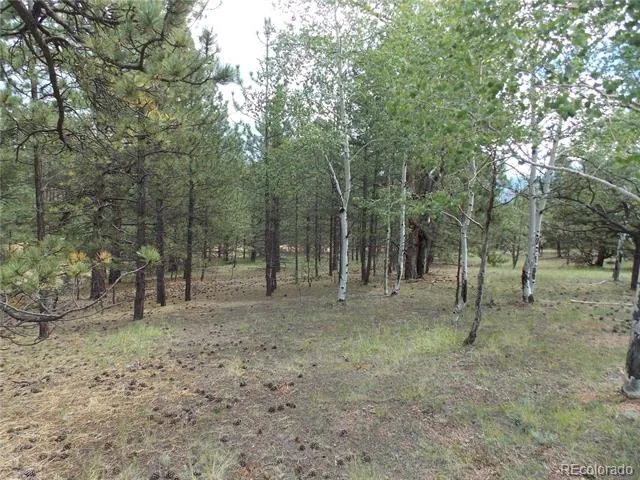 738 Black Mesa Circle Florissant, CO 80816