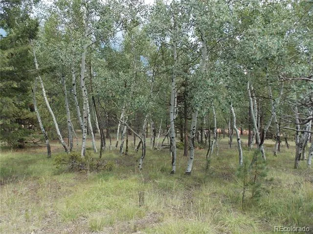 738 Black Mesa Circle Florissant, CO 80816