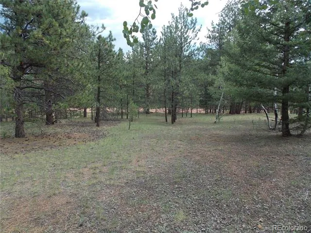 738 Black Mesa Circle Florissant, CO 80816
