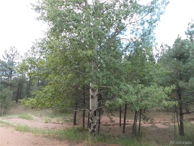 738 Black Mesa Circle Florissant, CO 80816
