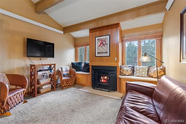 205 Primrose Path #3 Breckenridge, CO 80424
