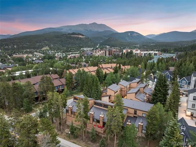 205 Primrose Path #3 Breckenridge, CO 80424