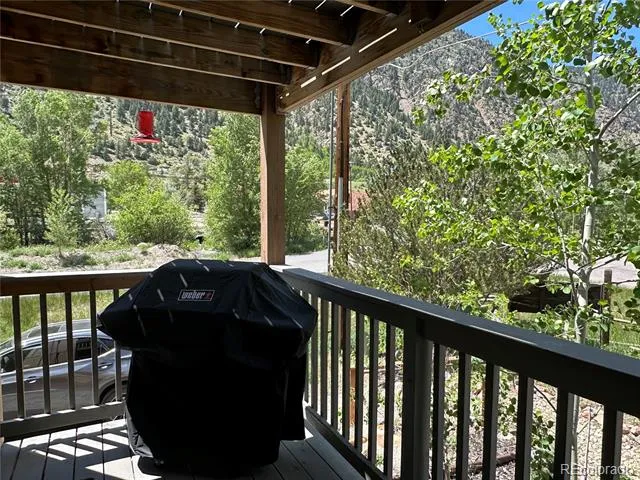 1494 Rose Street Georgetown, CO 80444