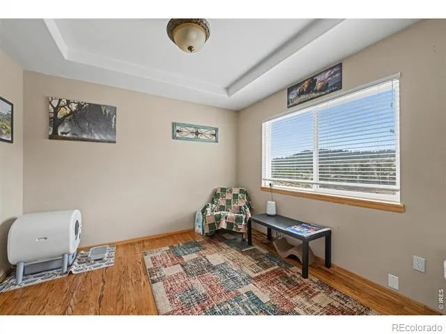 144 Torreys Court Livermore, CO 80536