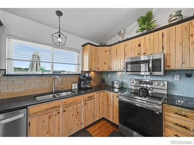 144 Torreys Court Livermore, CO 80536