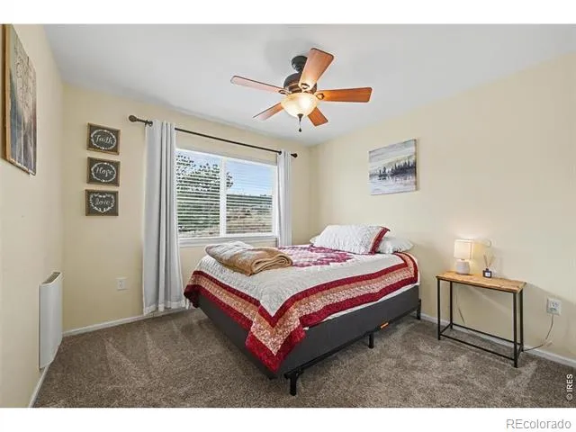 144 Torreys Court Livermore, CO 80536