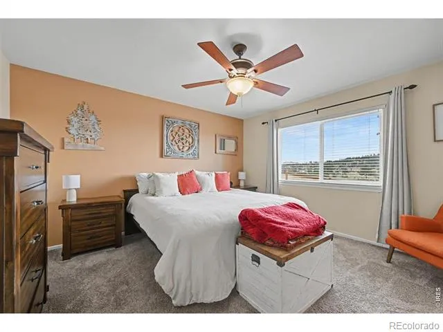 144 Torreys Court Livermore, CO 80536