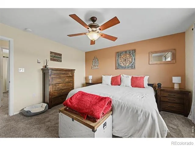 144 Torreys Court Livermore, CO 80536