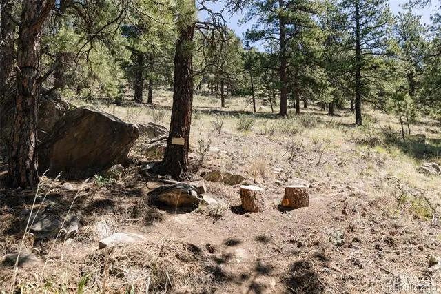 1898 Kerr Gulch Road Evergreen, CO 80439
