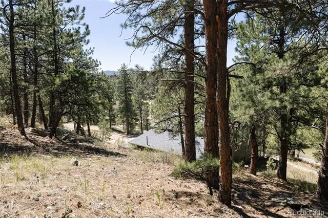1898 Kerr Gulch Road Evergreen, CO 80439