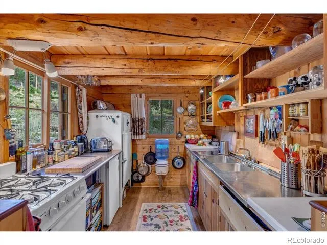 628 County Road 113S Allenspark, CO 80540