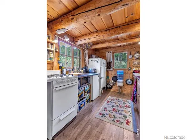 628 County Road 113S Allenspark, CO 80540