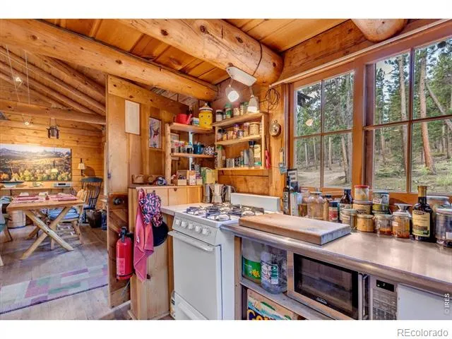 628 County Road 113S Allenspark, CO 80540
